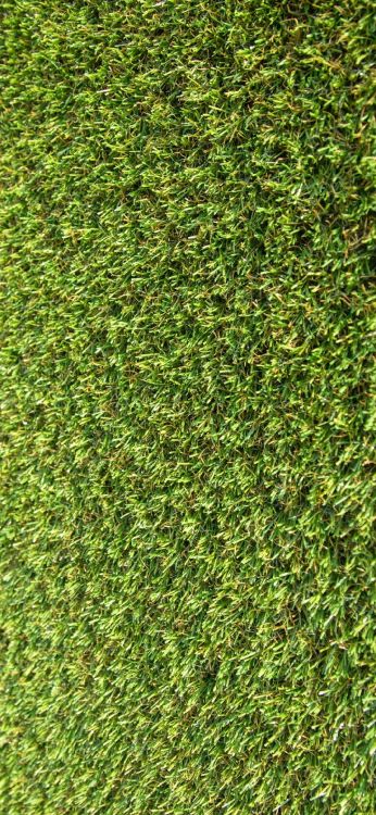 植被, 丙烯酸涂料, 草, 陆地上的植物, 地被 壁纸 1080x2340 允许