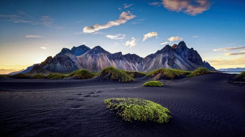 Image green moss on gray sand near mountain under blue sky during daytime