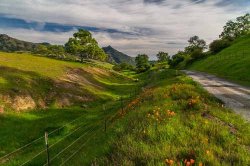 Image green grass field and mountain under white clouds and blue sky during daytime