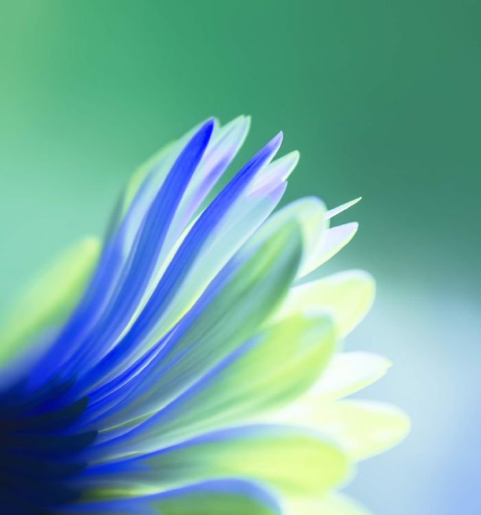 Huawei, Huawei View 20, Ehre V20, Ehrenansicht 10, Ehrenansicht20. Wallpaper in 2160x2310 Resolution