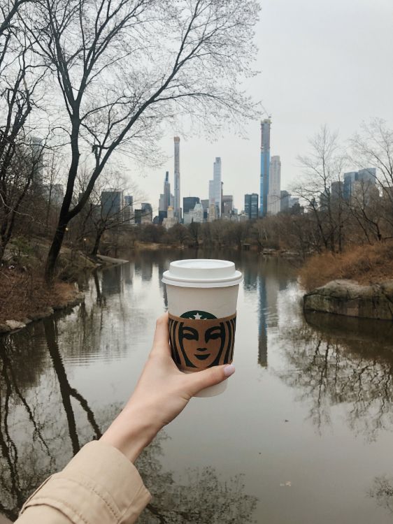 Person Holding White and Brown Disposable Cup. Wallpaper in 2988x3984 Resolution