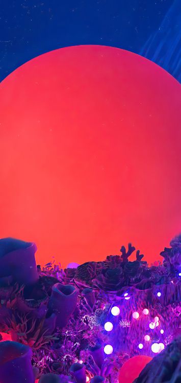 光, 两千十九, 采访, 一月, 1月18日 壁纸 1420x3000 允许