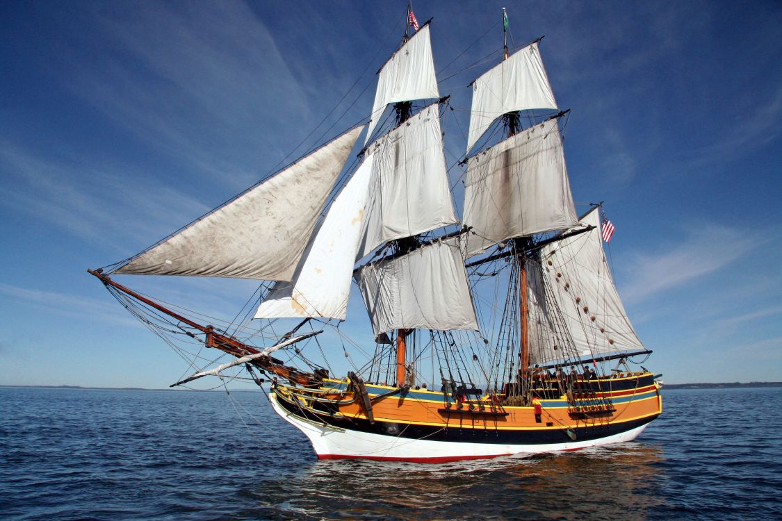 brown and white sail boat on sea during daytime