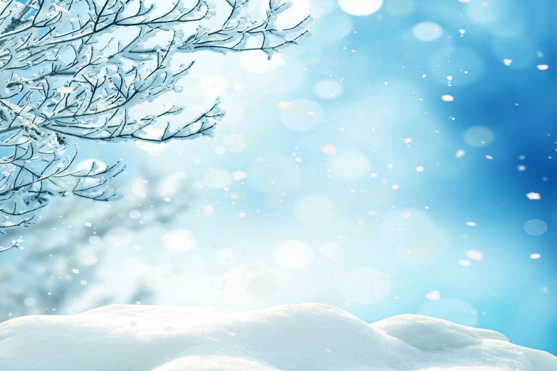 雪花, 冬天, 冻结, 天空, 阳光 壁纸 6000x4000 允许