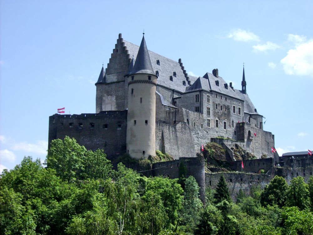 grey concrete castle surrounded by green trees during daytime