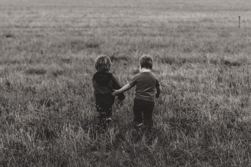 Image grassland, grass, black, grazing, child