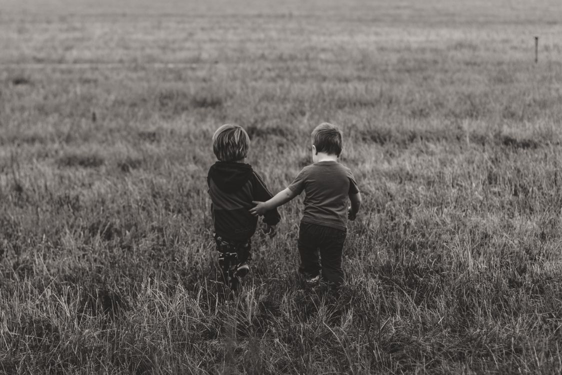 grassland, grass, black, grazing, child