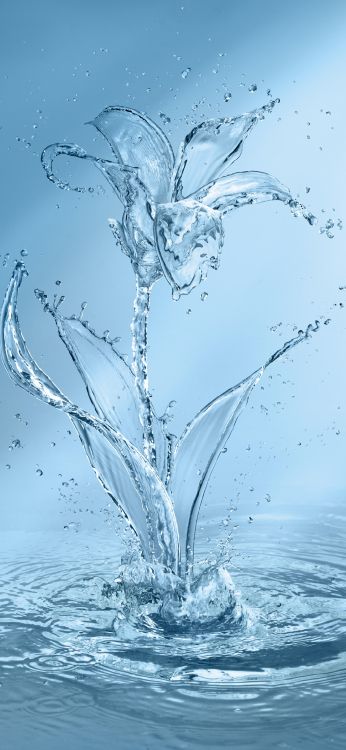 Eau, Art, Fluide, Liquid, Botanique. Wallpaper in 1080x2340 Resolution