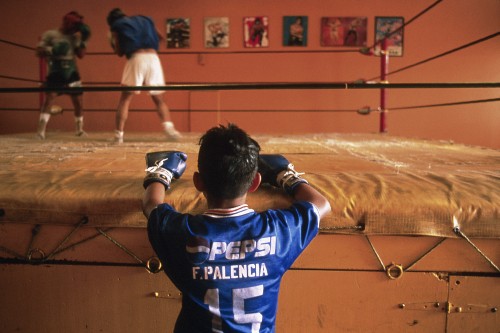 Image man in blue and white jersey shirt holding black camera