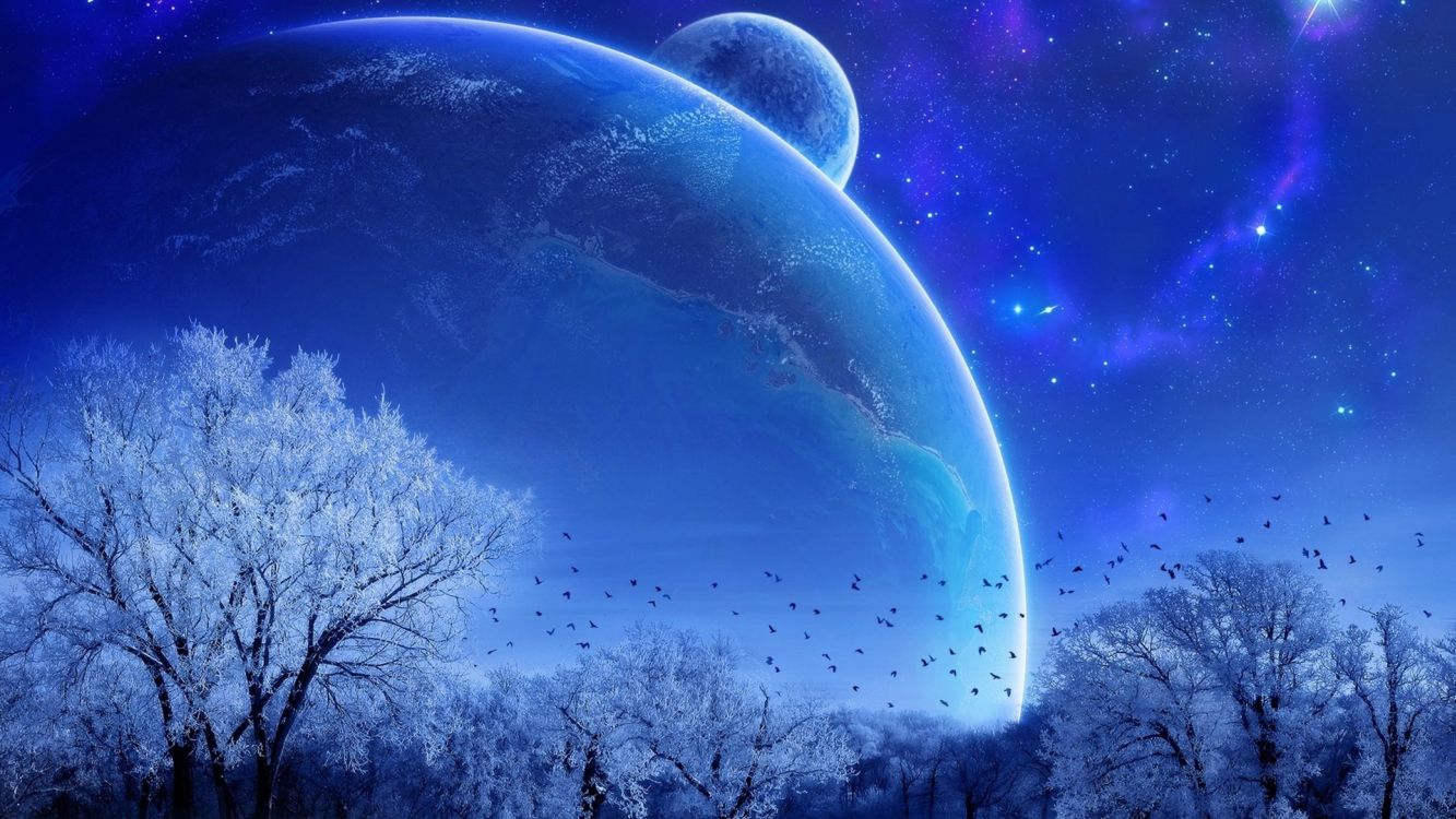 Arbres Nus Sous un Ciel Bleu Avec Des Étoiles Pendant la Nuit. Wallpaper in 3840x2160 Resolution