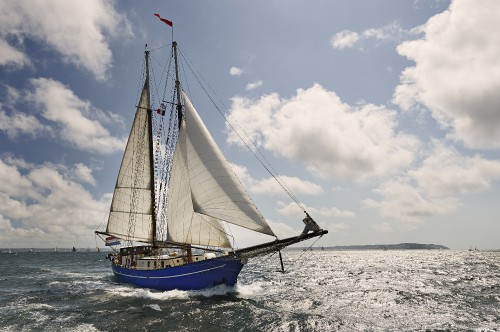 Image white and blue sail boat on sea during daytime