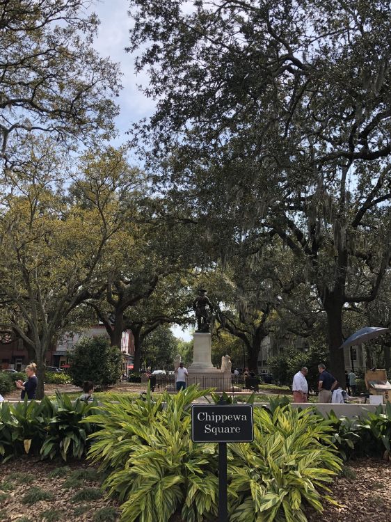 Feuille, Sciences, Arbuste, Garden, Plantes Ligneuses. Wallpaper in 2611x3481 Resolution