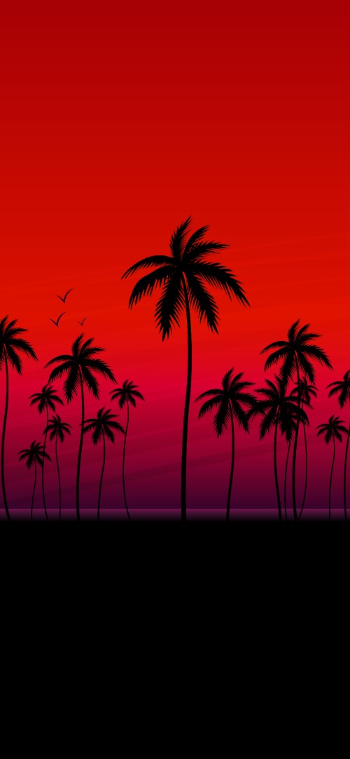 Image palm trees, coconut, silhouette, orange, woody plant