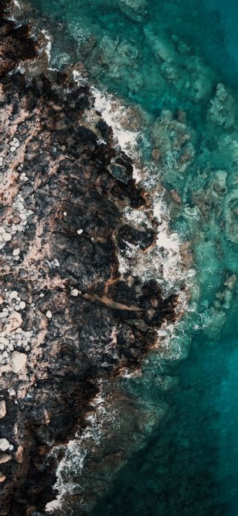 Agua, Mar, Cuerpo de Agua, Madera, el Viento de la Onda. Wallpaper in 1080x2340 Resolution