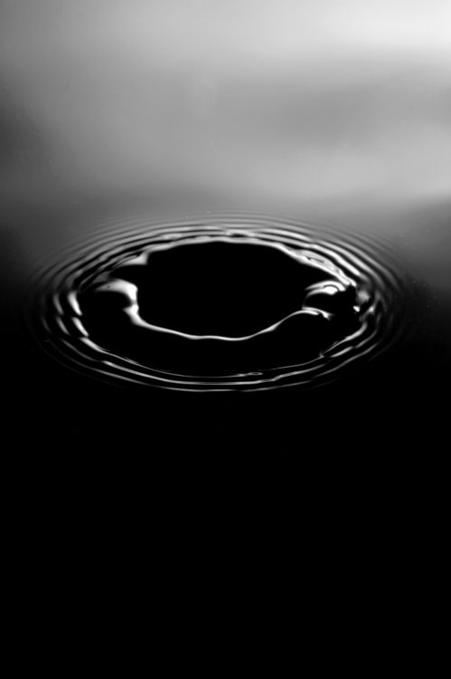 液体, 流体, 黑色和白色的, 气体, 液泡沫 壁纸 1279x1920 允许