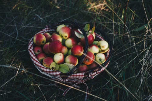 Image red and green apples on brown woven basket