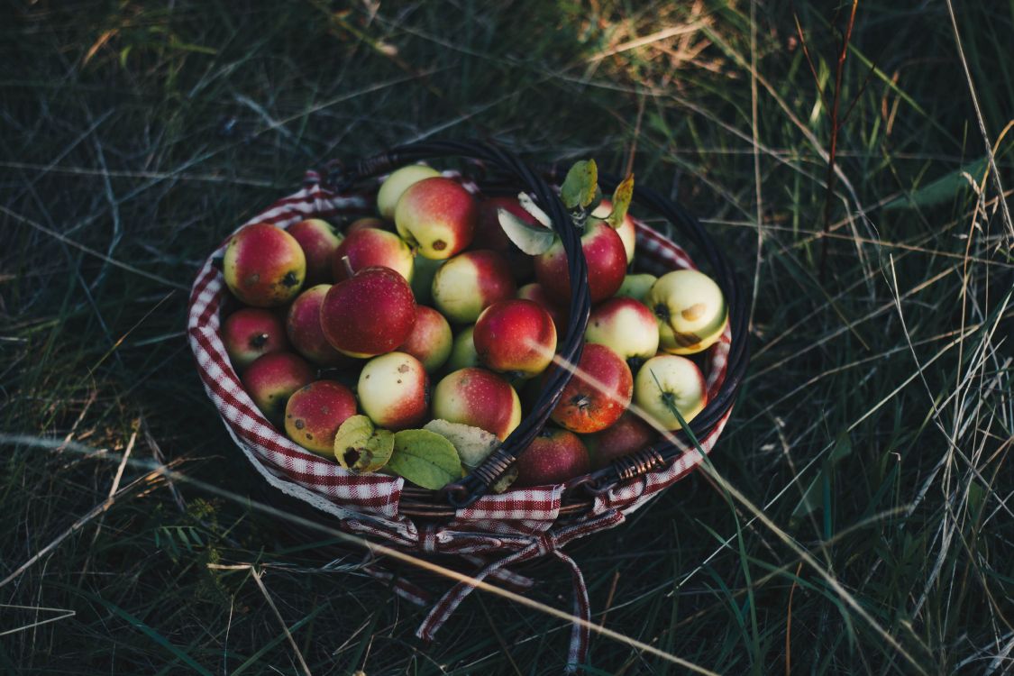 Red and Green Apples on Brown Woven Basket. Wallpaper in 5184x3456 Resolution