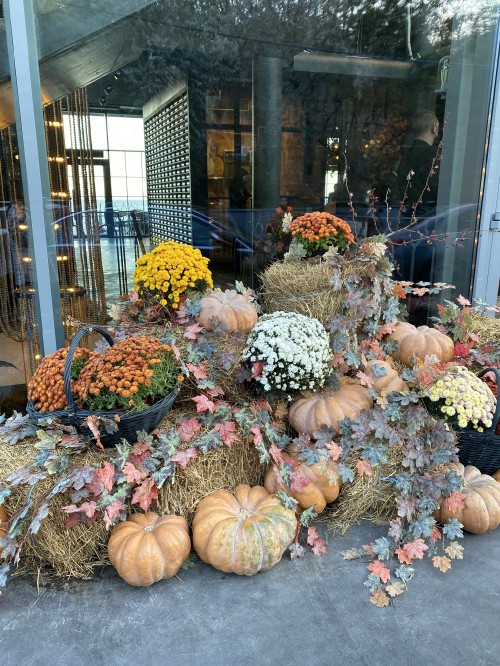 Image Pumpkin, gourd, squash, calabaza, flower