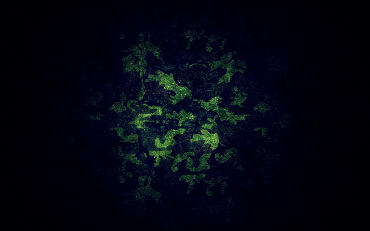 Hojas Verdes Sobre Fondo Negro. Wallpaper in 2560x1600 Resolution