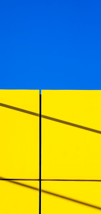 Senf-pflanze, Farbigkeit, Gelb, Rechteck, Piste. Wallpaper in 1516x3200 Resolution