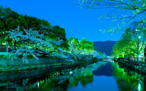 Image green trees beside river under blue sky during daytime