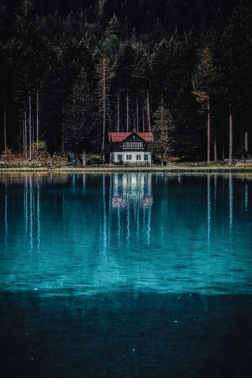 pixel, freepik, portrait, blue, water