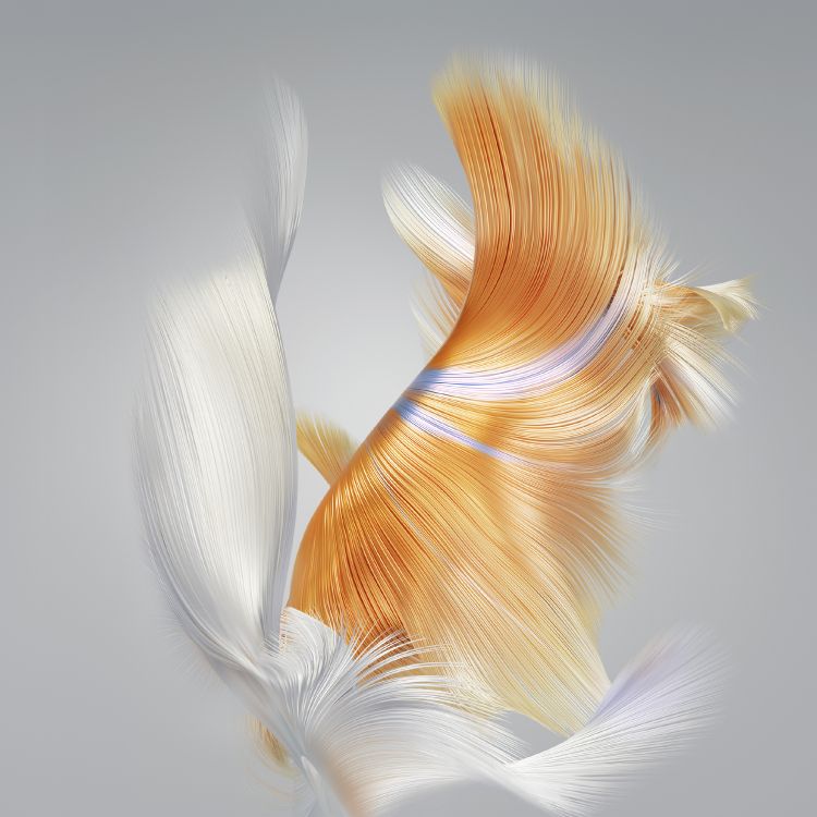 huawei mate x3 lcd, Huawei, 50mp, huawei mate 50, smartphone