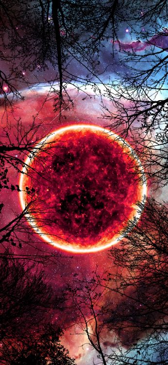 性质, 气氛, 自然景观, 天文学对象 壁纸 1407x3045 允许