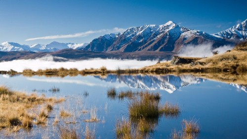 Image brown grass on snow covered field near snow covered mountains during daytime