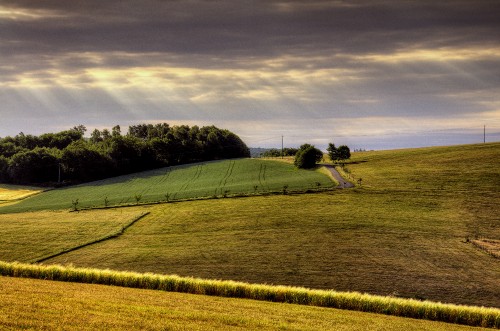 Image green grass field under cloudy sky during daytime