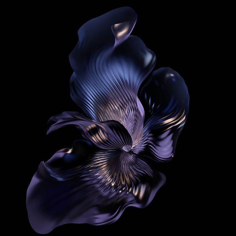 Moth Orchid, Smartphone, Blütenblatt, Terrestrische Pflanzen, Gas. Wallpaper in 2700x2700 Resolution