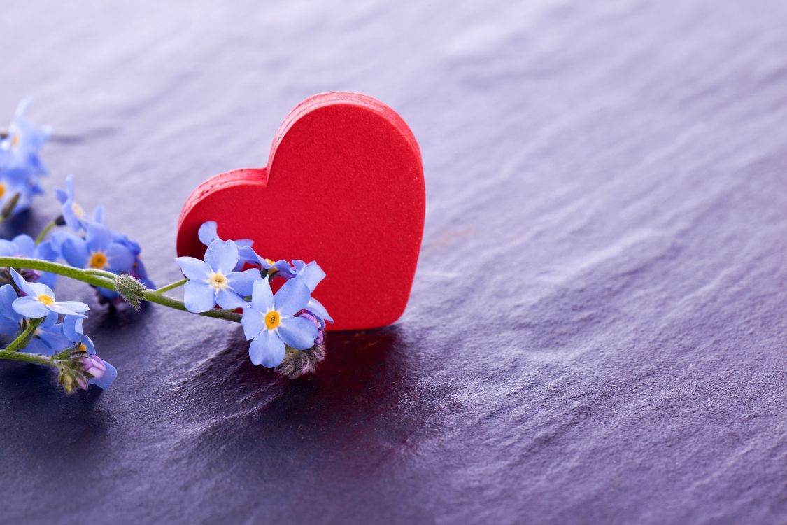 Wallpaper Heart, Flower, Love, Petal, Whatsapp, Background ...