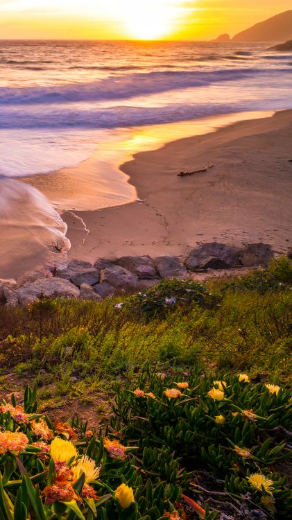 Eau, L'écorégion, Paysage Naturel, Nature, Environnement Naturel. Wallpaper in 1080x1920 Resolution