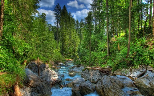 Image green trees beside river under blue sky during daytime