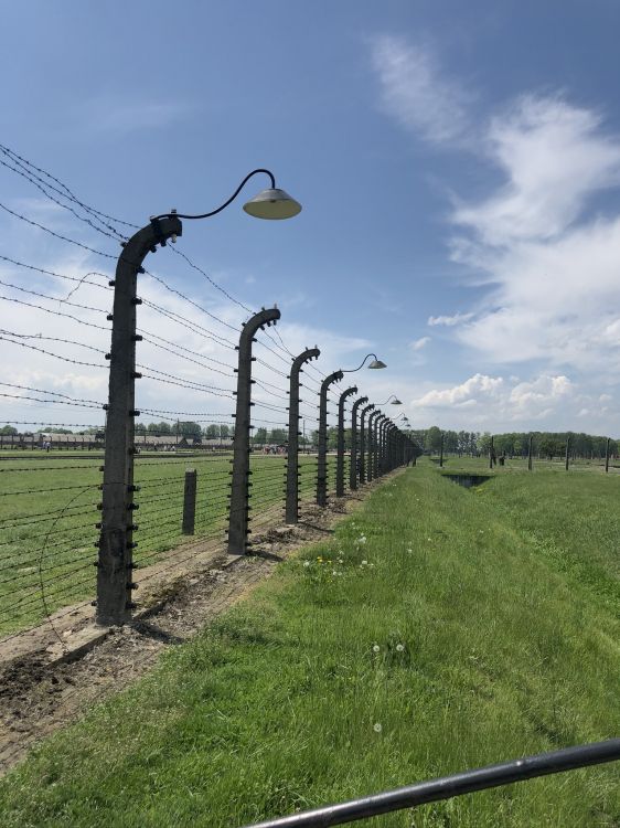 丝围栏, 普通的, 土地很多, 路灯 壁纸 1536x2048 允许