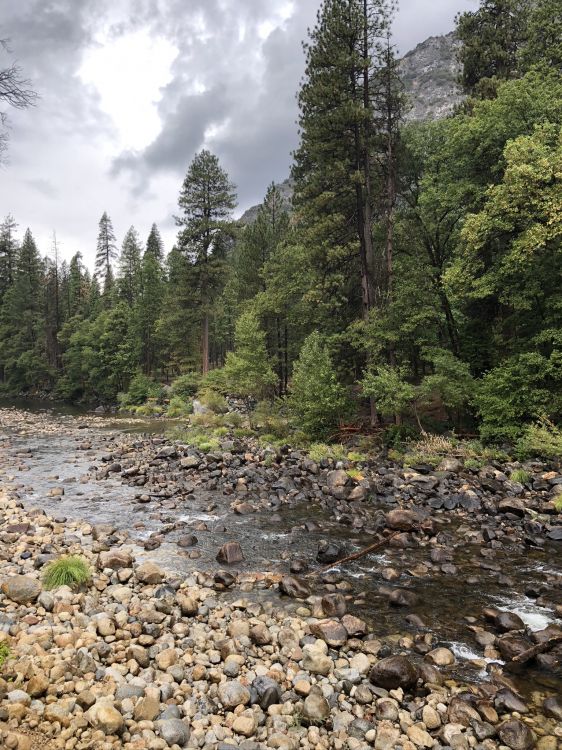 Immobilier, Les Terres Beaucoup, Colici Murici, Copropriété, Médecin de Rue Murici. Wallpaper in 1536x2048 Resolution