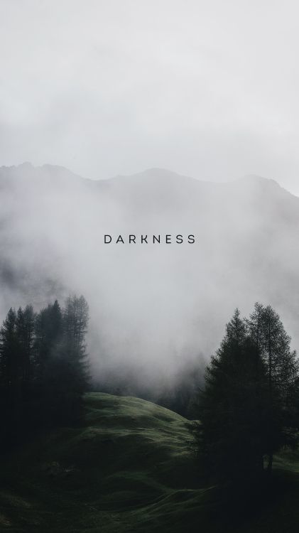 Cloud, Atmosphäre, Nebel, Naturlandschaft, Baum. Wallpaper in 3240x5760 Resolution