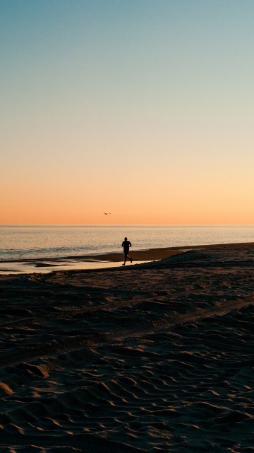 Image body of water, horizon, sea, beach, ocean