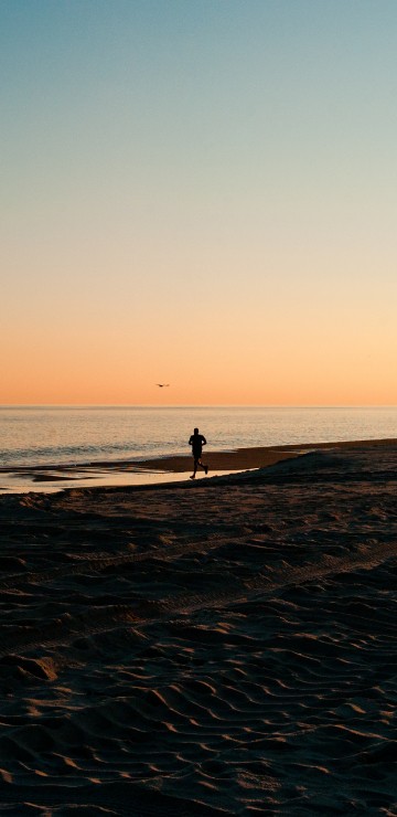 Image body of water, horizon, sea, beach, ocean
