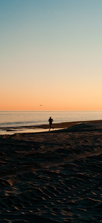 Image body of water, horizon, sea, beach, ocean