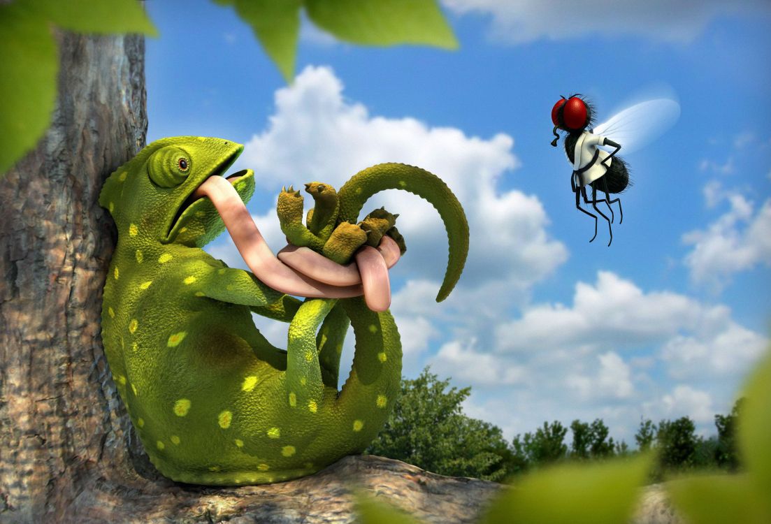 Grün-weißes Frosch-Plüschtier. Wallpaper in 2560x1740 Resolution