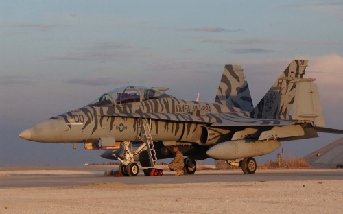 Image black fighter plane on brown field during daytime