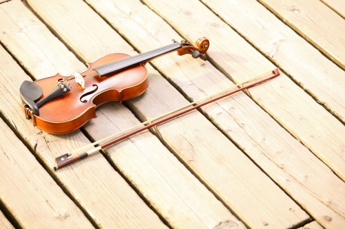 Image violin, cello, string instrument, classical music, viola