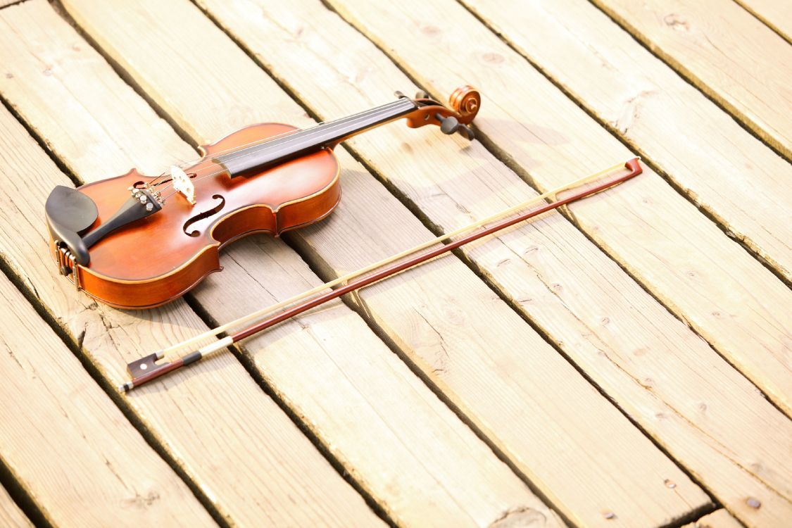 violin, cello, string instrument, classical music, viola