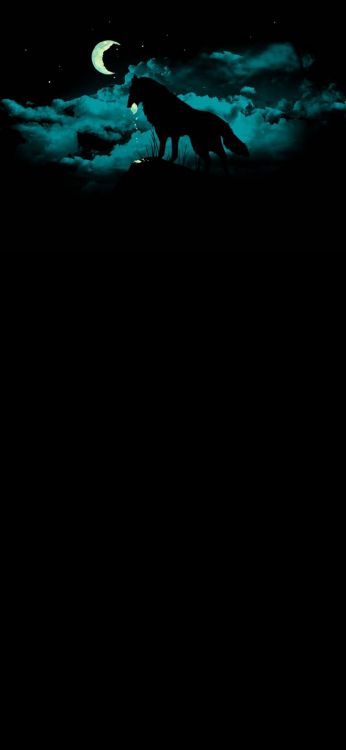 黑色的, 和阴影的色彩, 水下, 电蓝色的, 翼 壁纸 1080x2340 允许