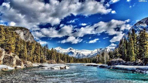 Image green trees near snow covered mountain under blue and white cloudy sky during daytime