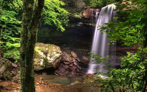 Image waterfalls in the middle of the forest