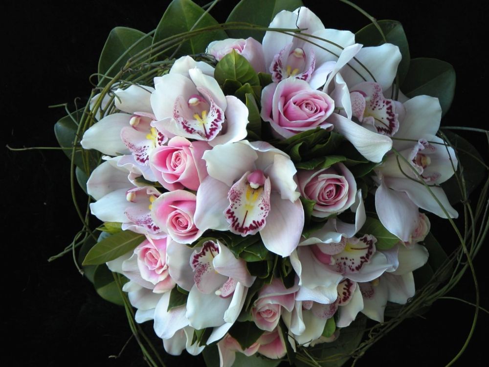 pink and white flowers on black textile