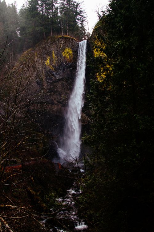 Cascada, Multnomah Falls, Curso de Agua, Cuerpo de Agua, Agua. Wallpaper in 3456x5184 Resolution