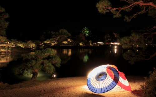 Image blue and red umbrella near lake during night time